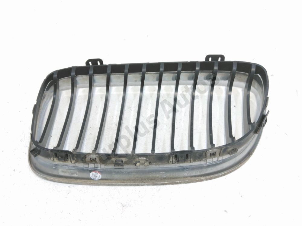 Grille de calandre droite