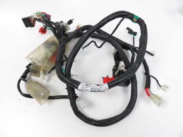 FAISCEAU ELECTRIQUE