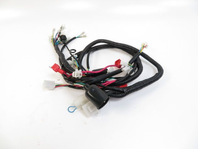 FAISCEAU ELECTRIQUE