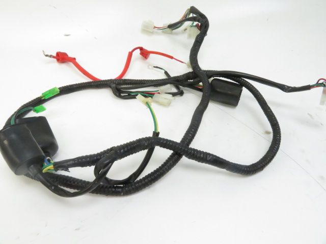 FAISCEAU ELECTRIQUE