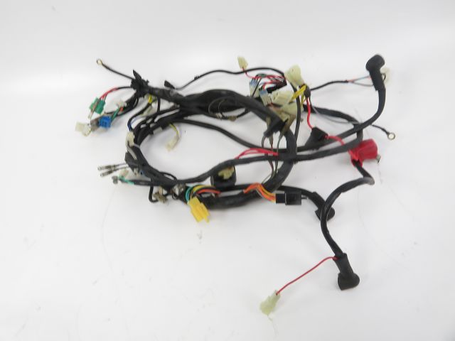 FAISCEAU ELECTRIQUE