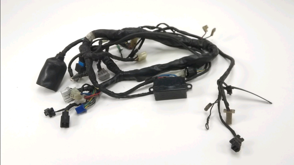 FAISCEAU ELECTRIQUE