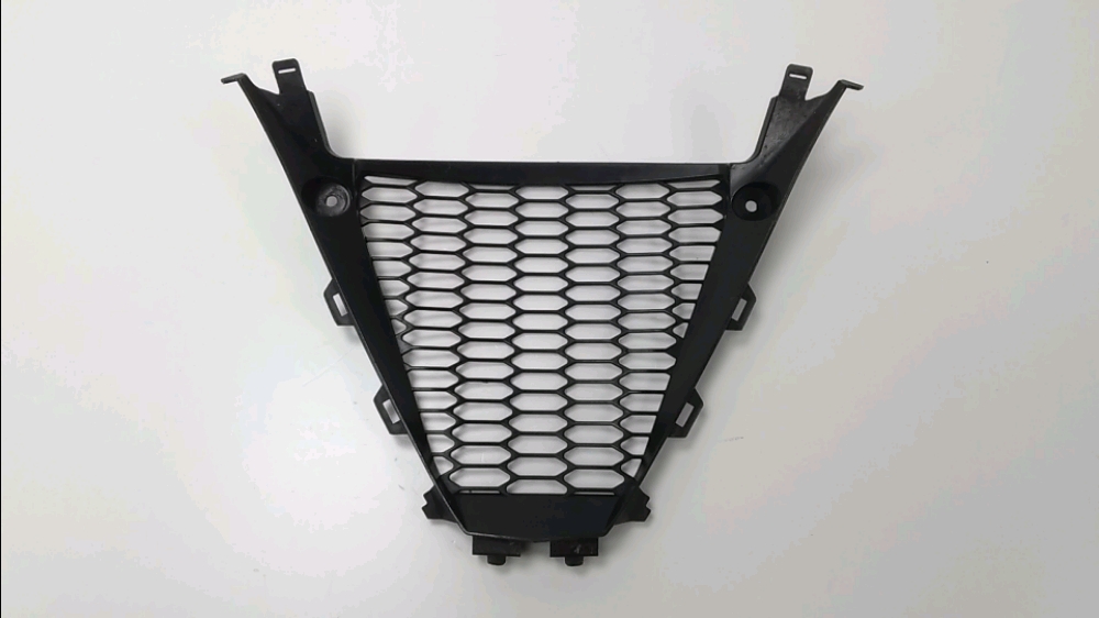Grille de radiateur