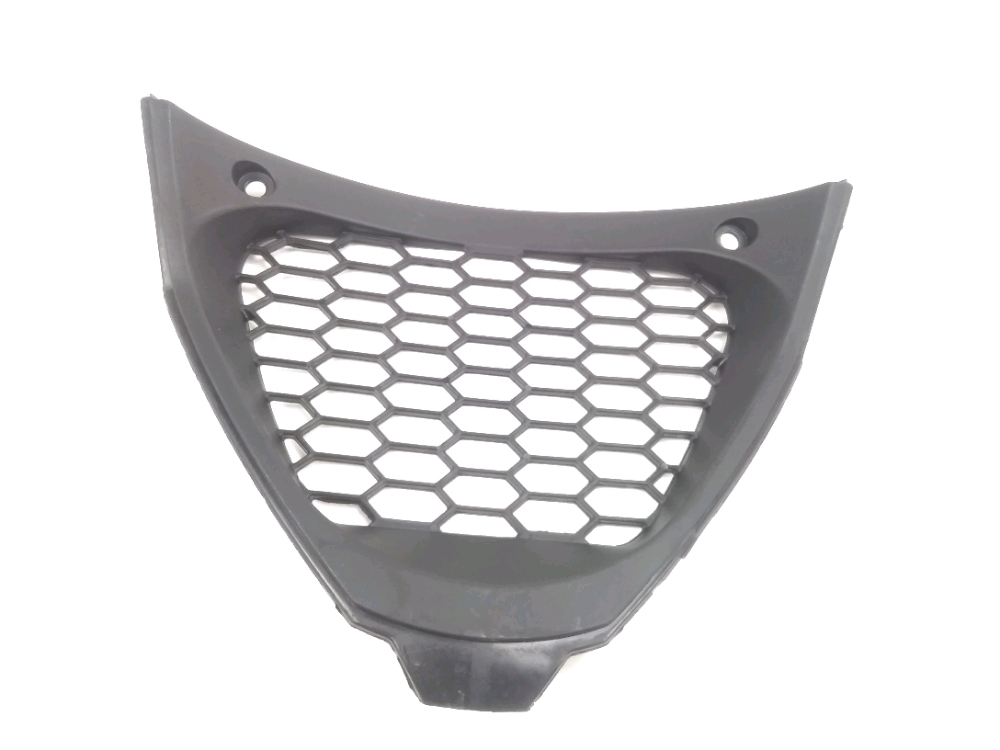 Grille de radiateur