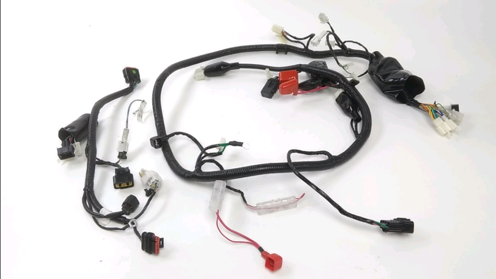 FAISCEAU ELECTRIQUE