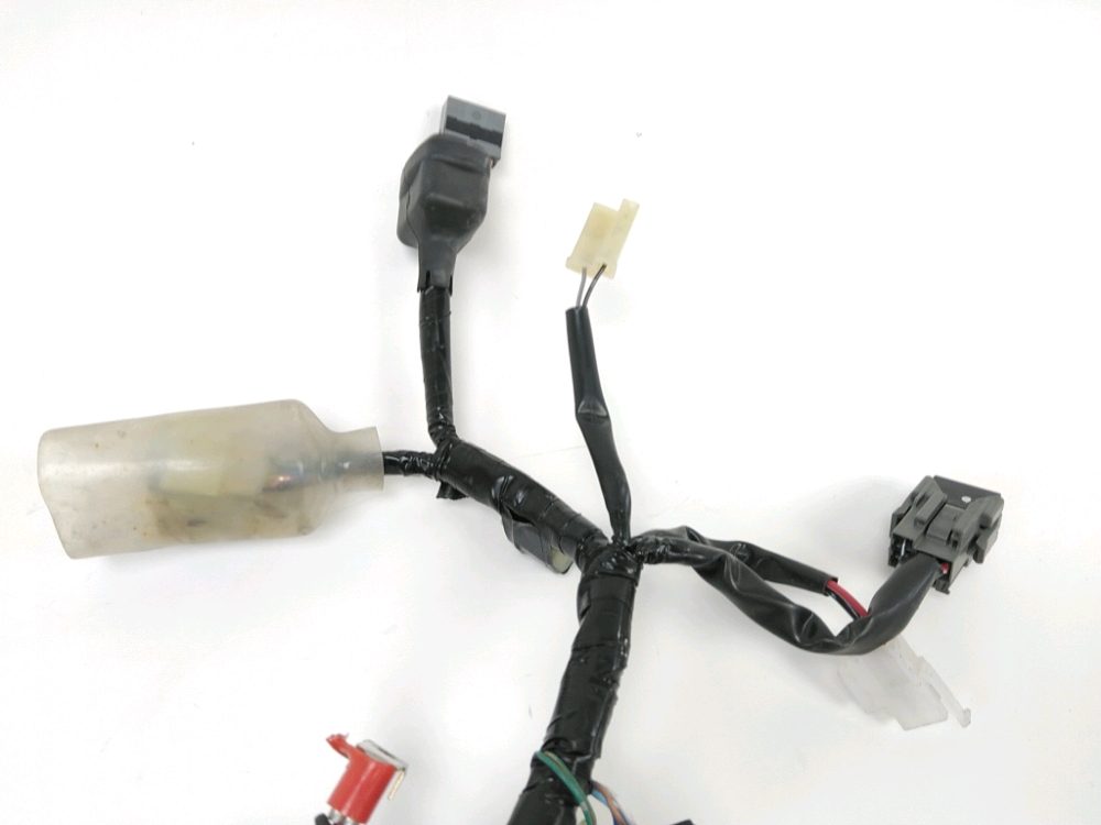FAISCEAU ELECTRIQUE