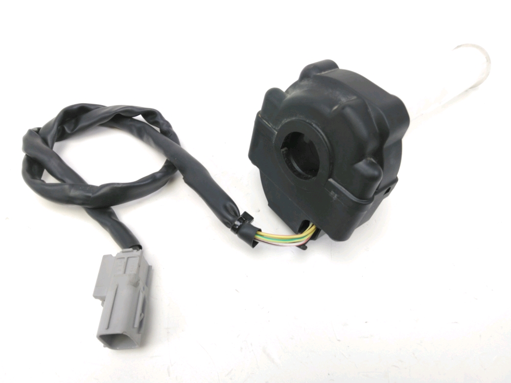 Accelerateur ride by wire