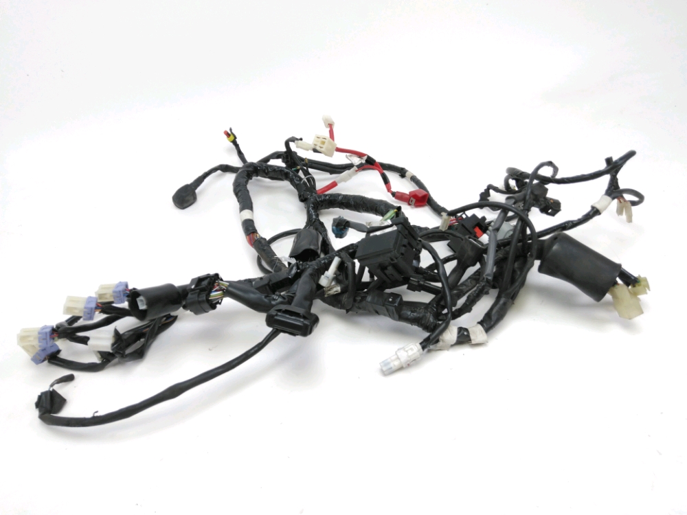FAISCEAU ELECTRIQUE