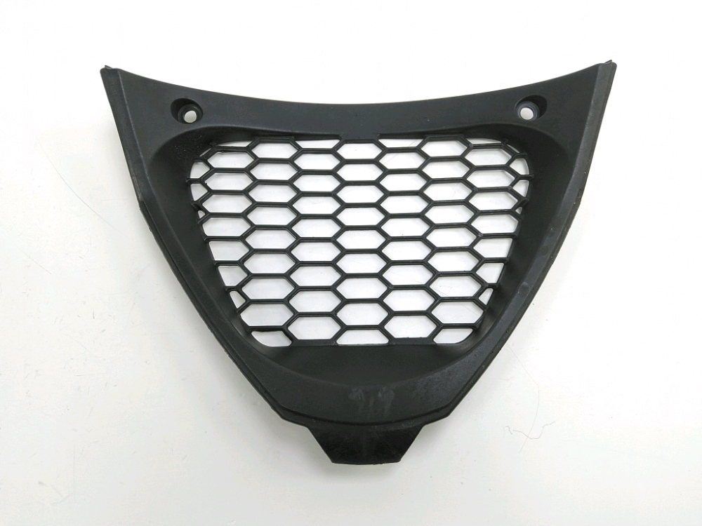 Grille de radiateur