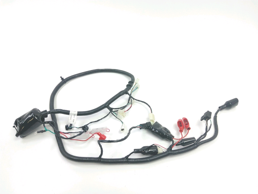 FAISCEAU ELECTRIQUE