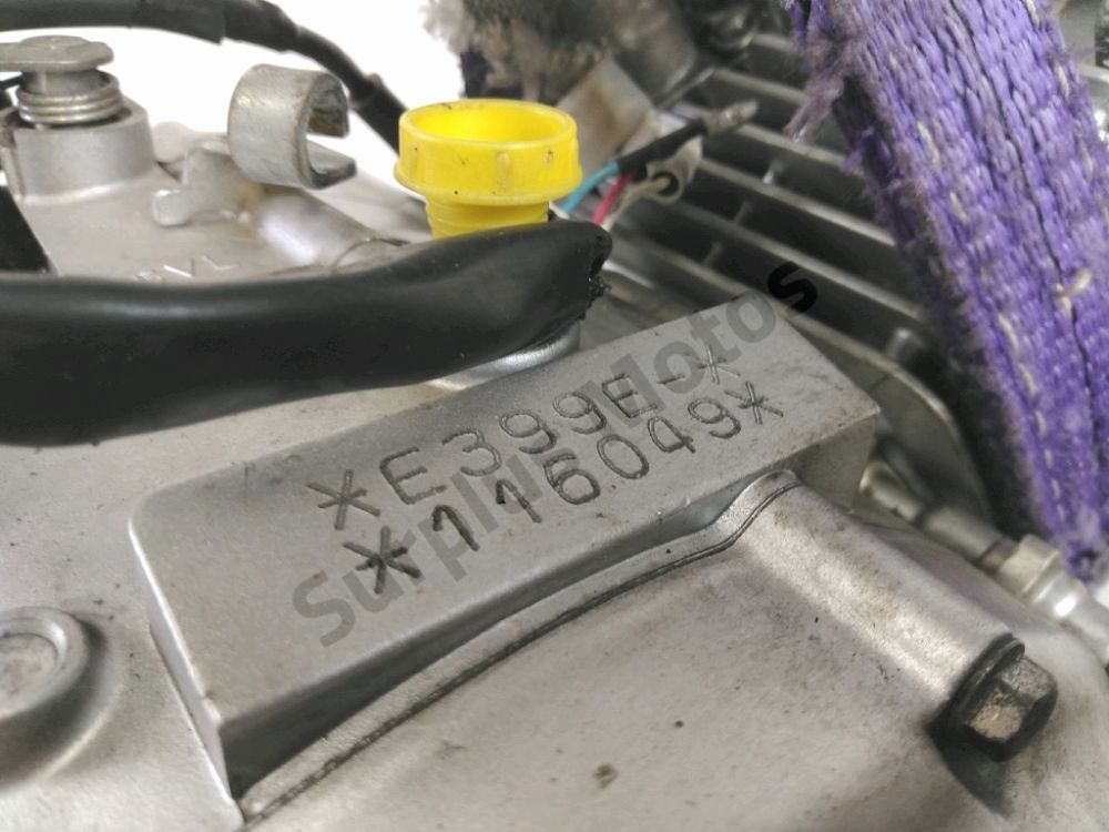 MOTEUR