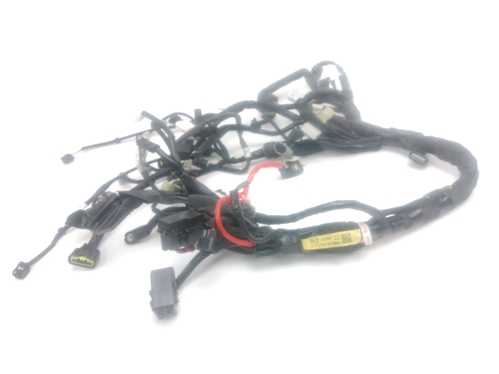 FAISCEAU ELECTRIQUE