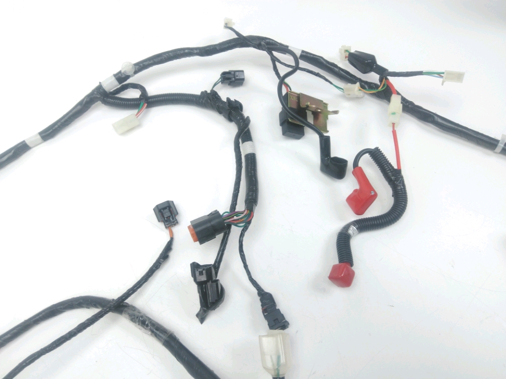 FAISCEAU ELECTRIQUE