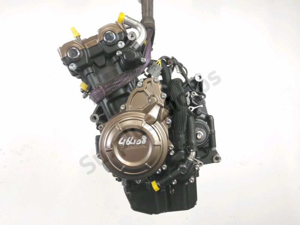 MOTEUR