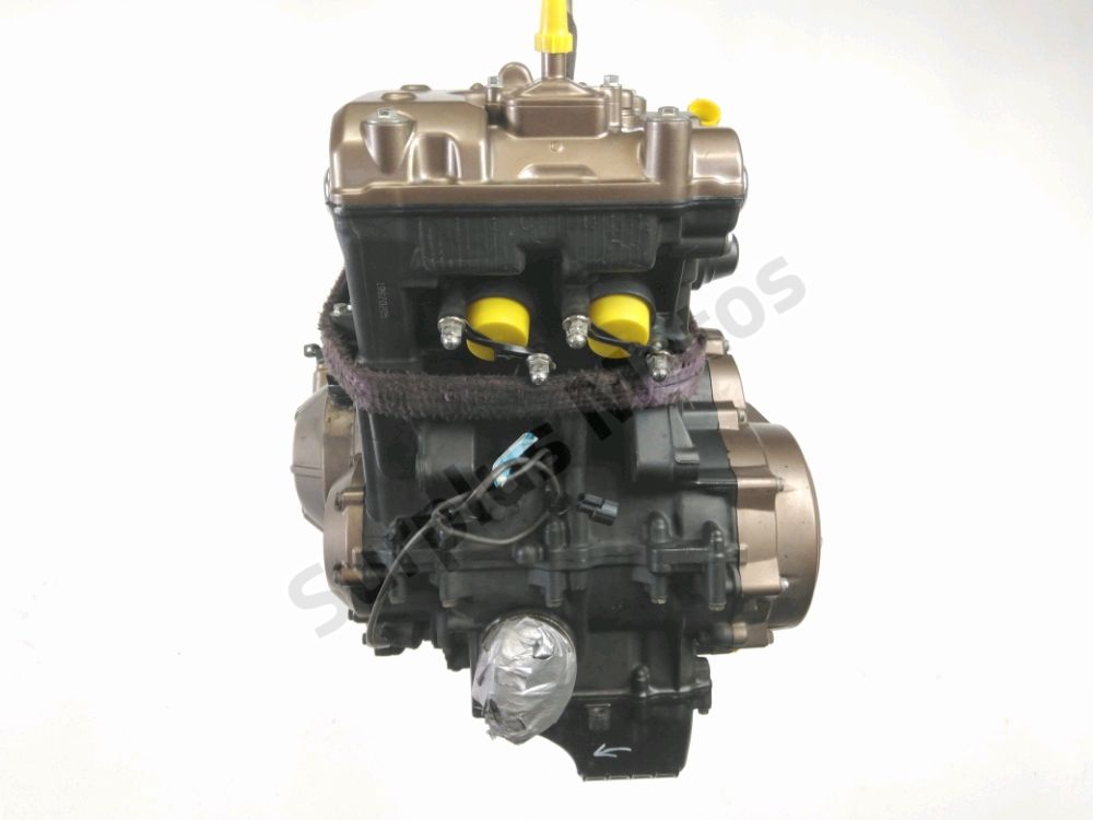 MOTEUR