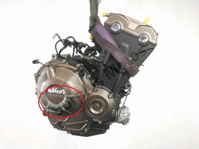 MOTEUR