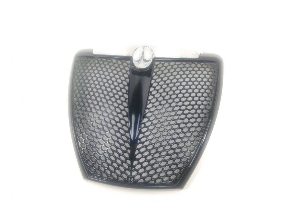 GRILLE DE RADIATEUR