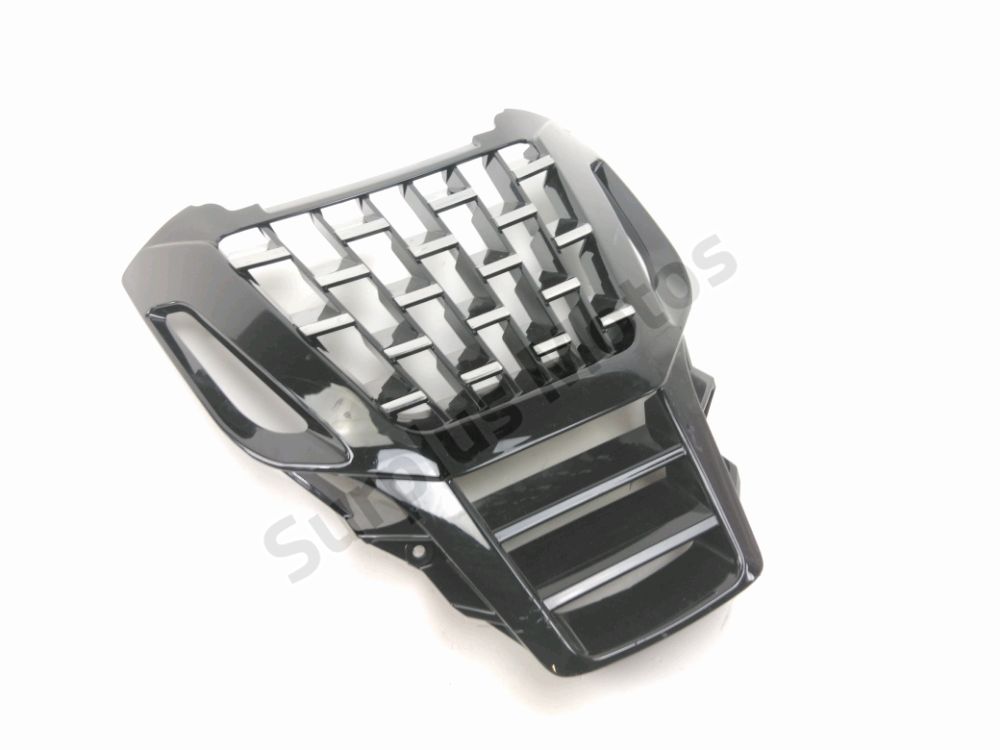GRILLE DE RADIATEUR