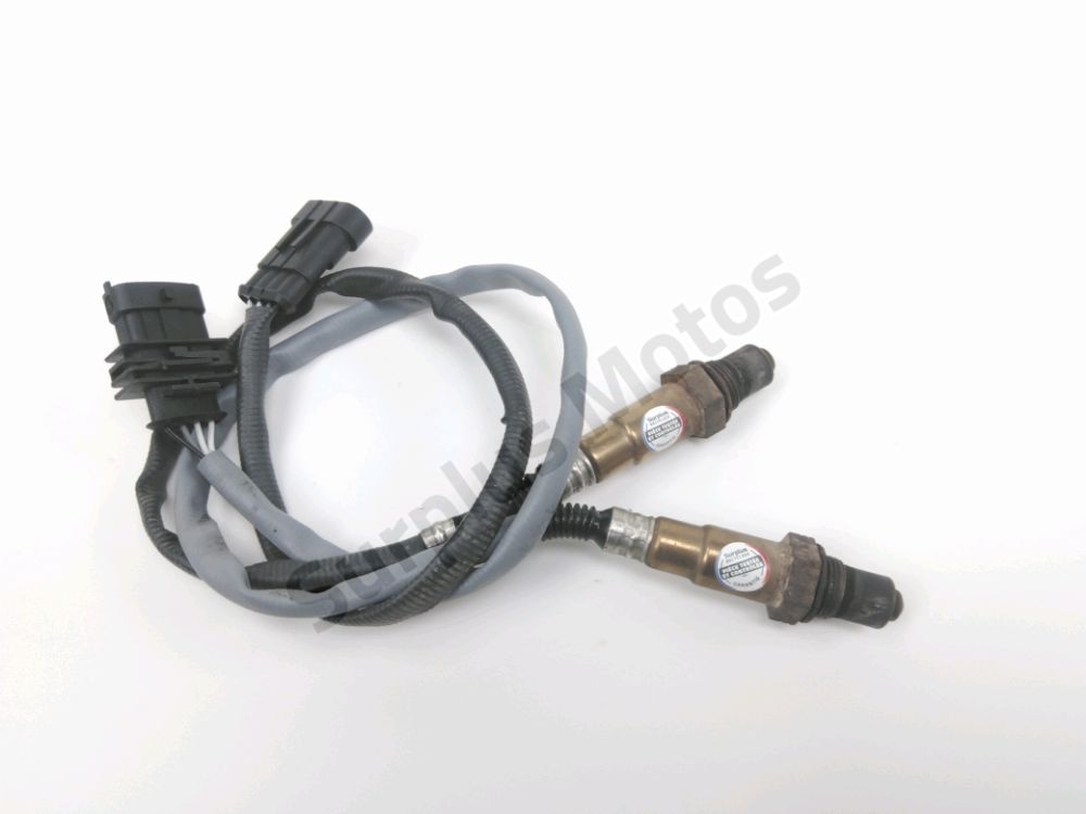 Sonde lambda