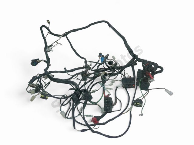 FAISCEAU ELECTRIQUE
