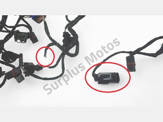 FAISCEAU MOTEUR