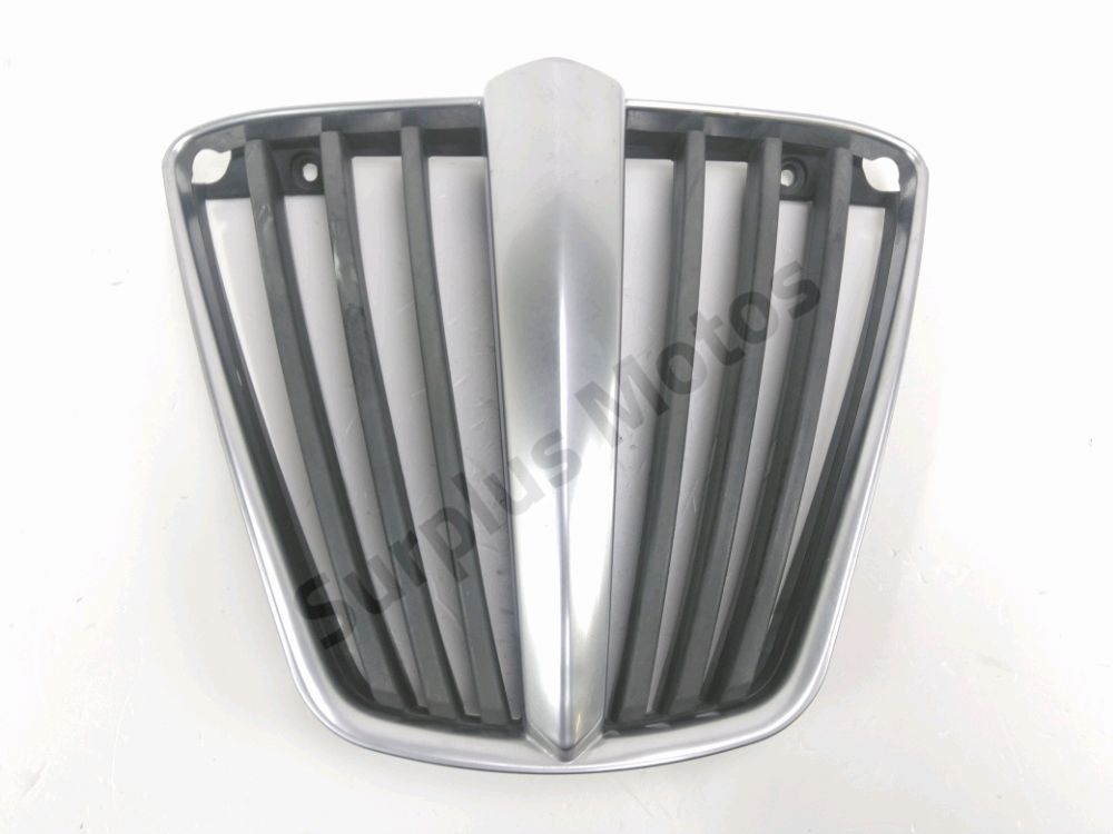 Grille de radiateur