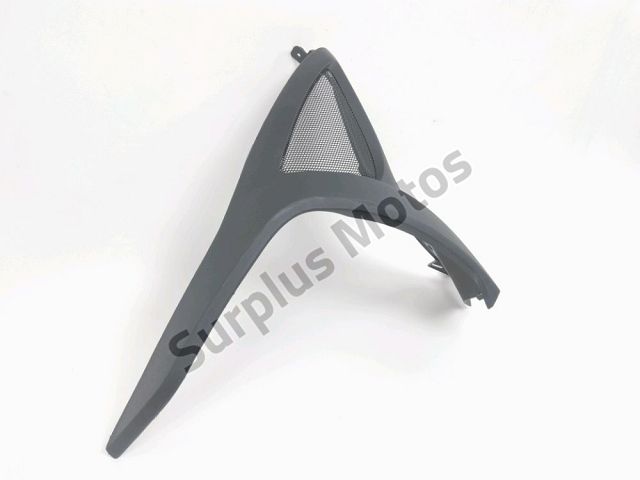 Flanc carenage gauche