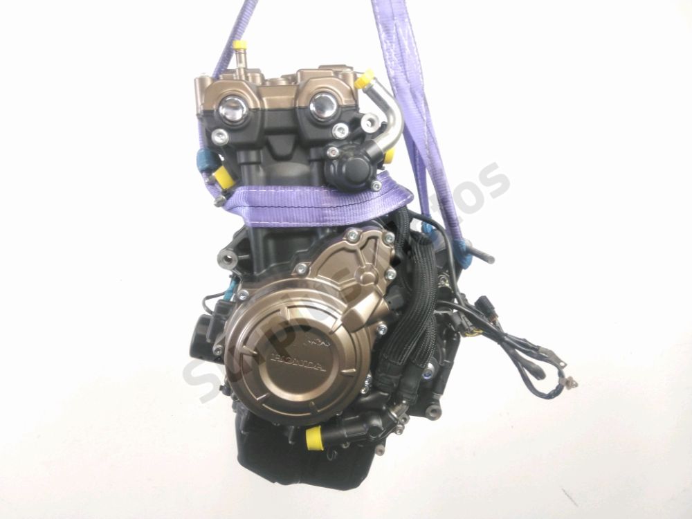 MOTEUR