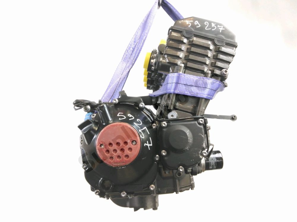 MOTEUR