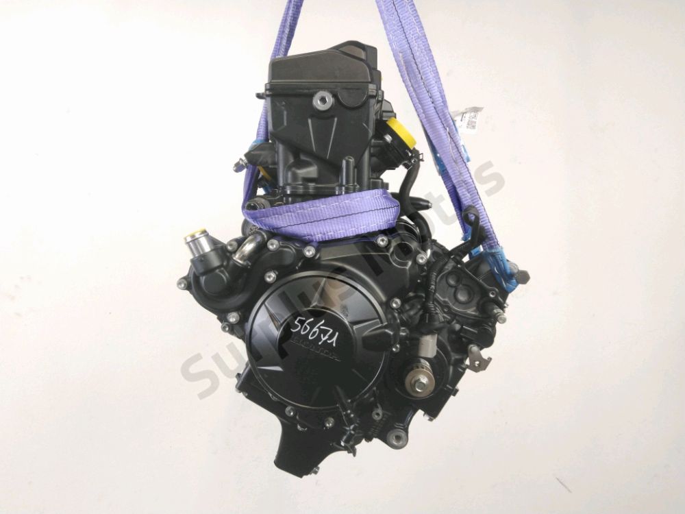 MOTEUR