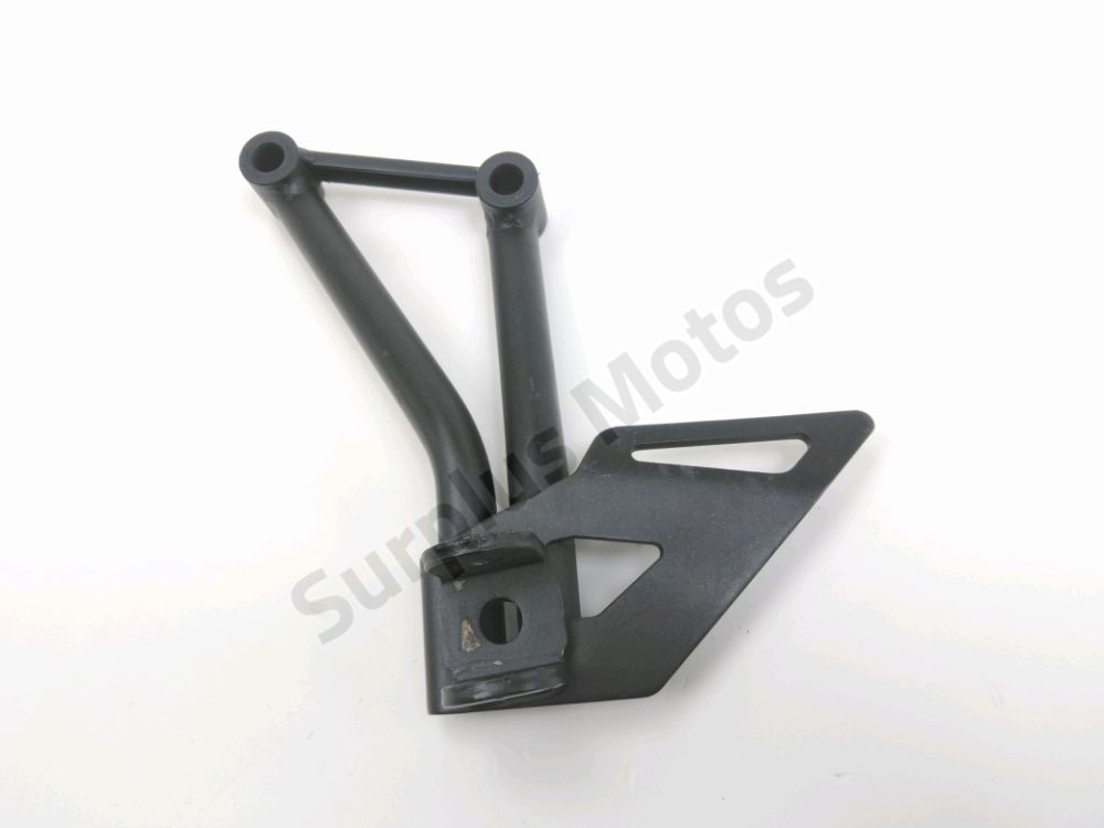 Platine arriere gauche complete