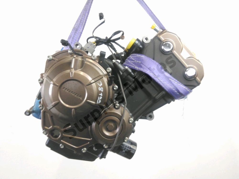 MOTEUR