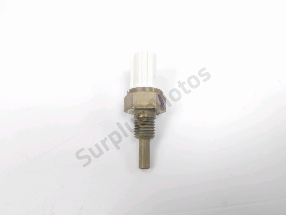 Sonde