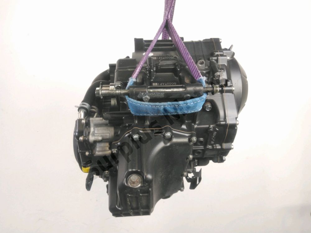 MOTEUR