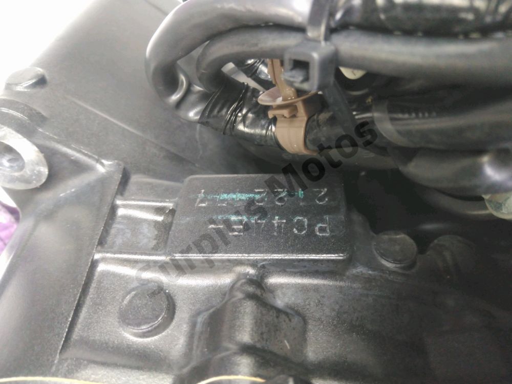 MOTEUR