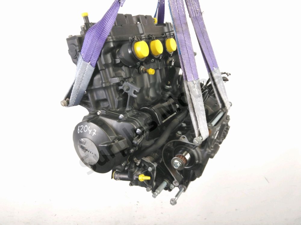 MOTEUR
