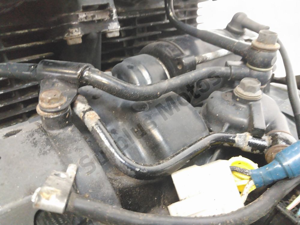 MOTEUR