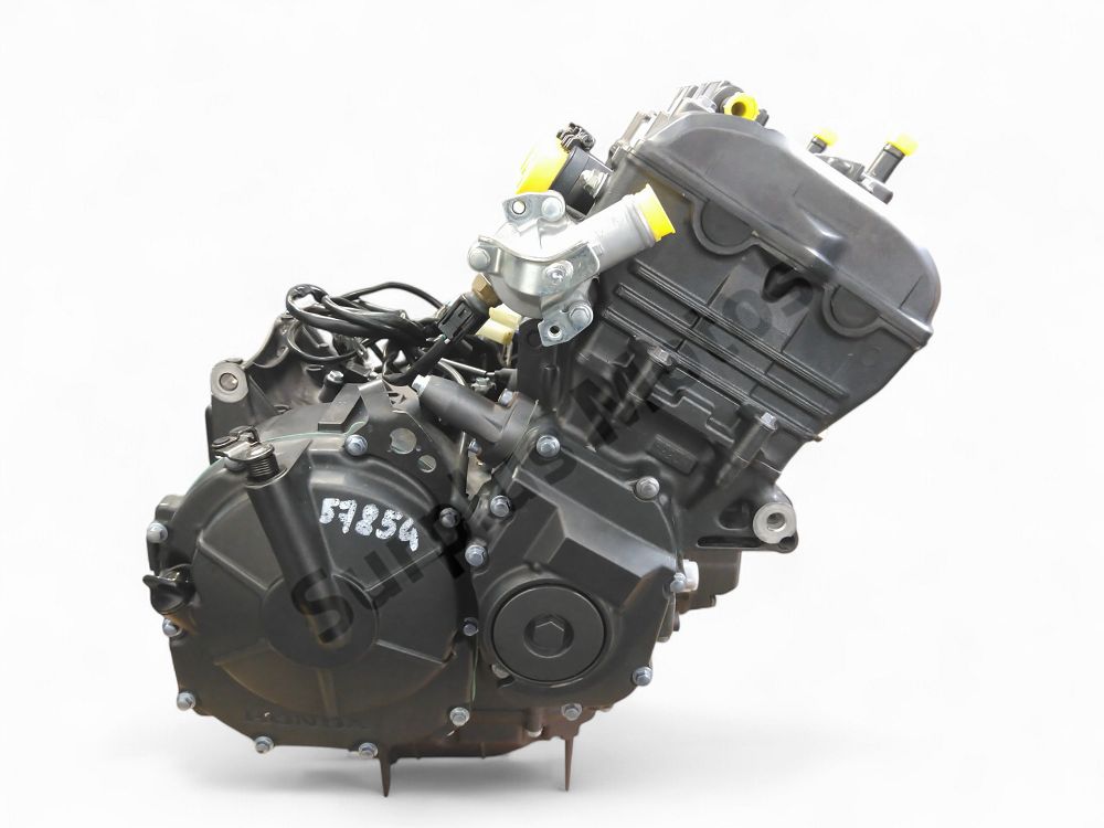 MOTEUR