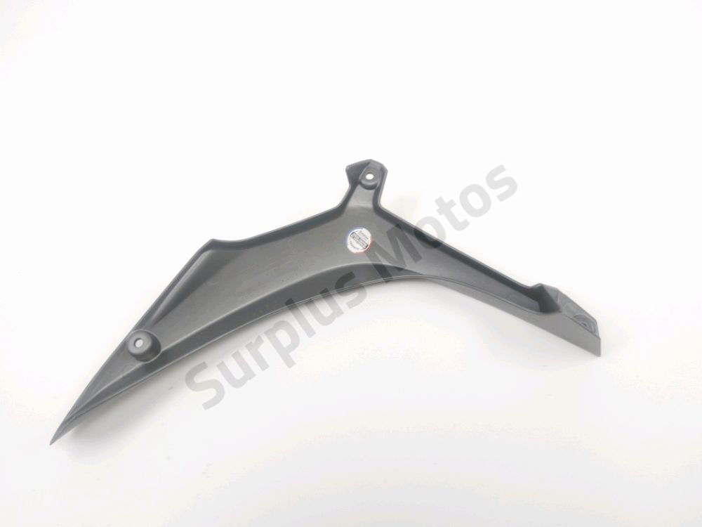 FLANC CARENAGE DROIT