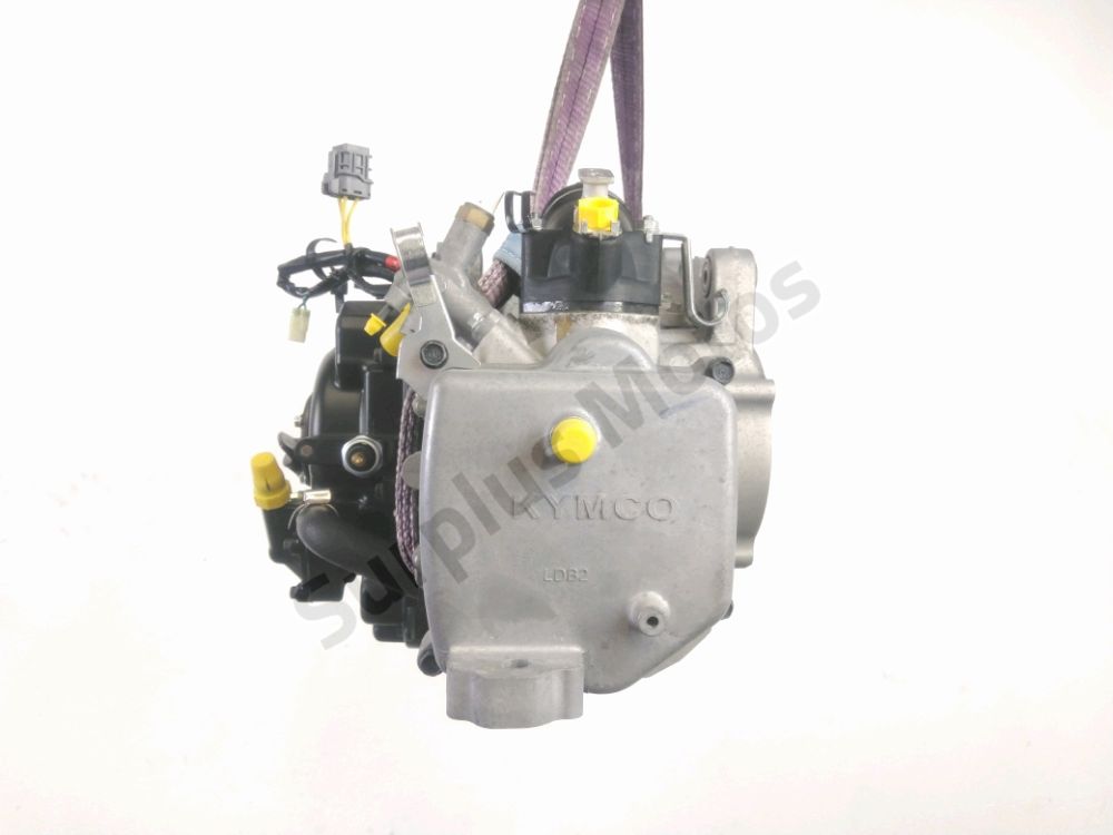 MOTEUR