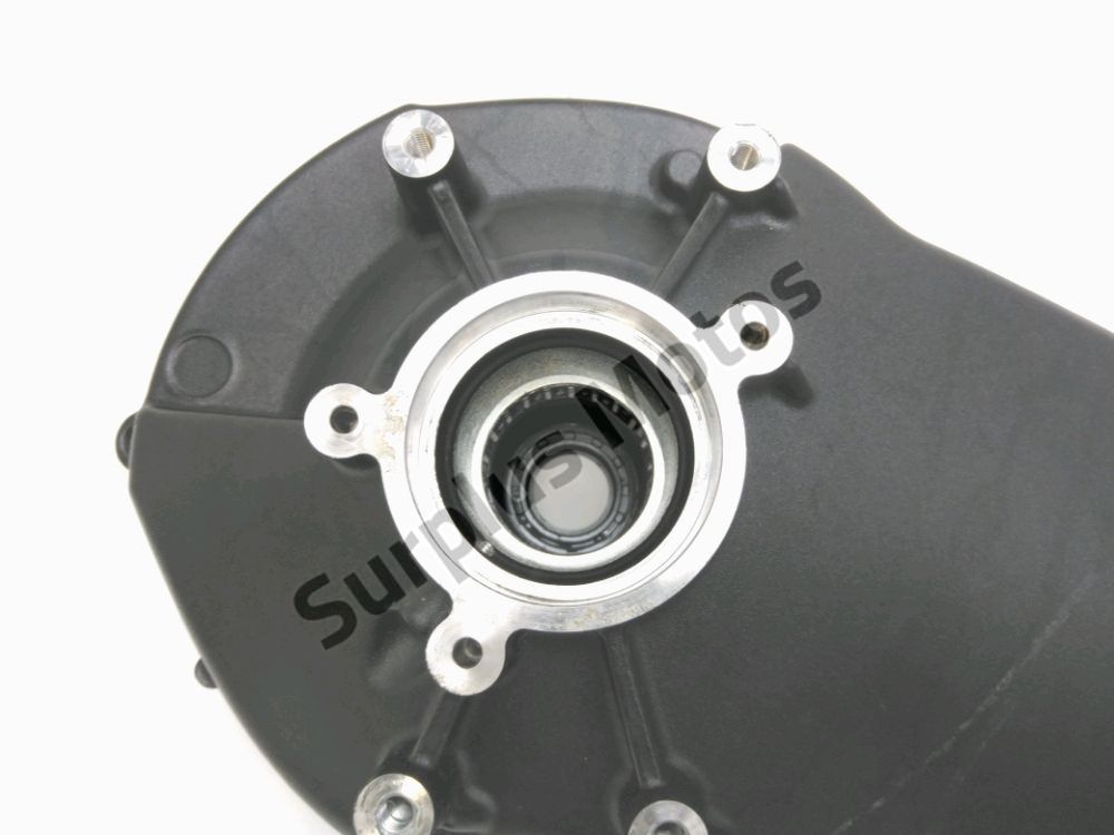 BRAS OSCILLANT COMPLET