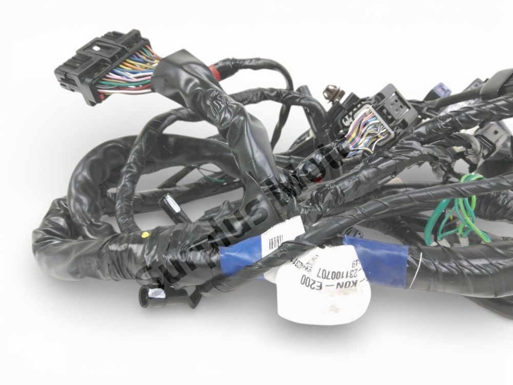 FAISCEAU ELECTRIQUE