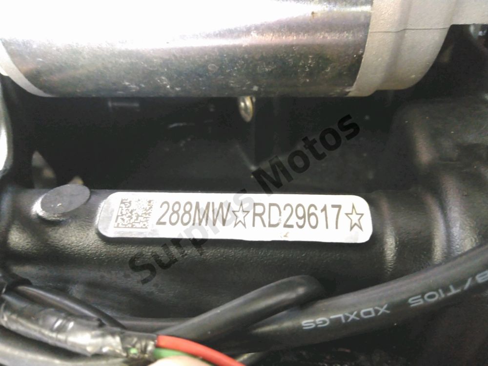 MOTEUR
