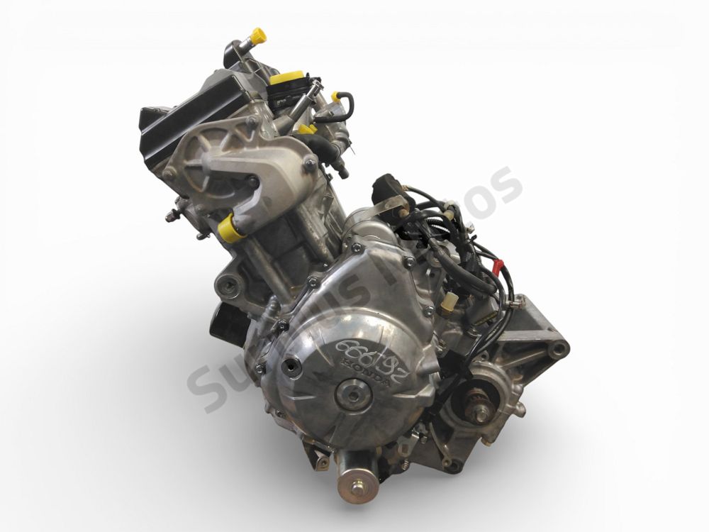 MOTEUR