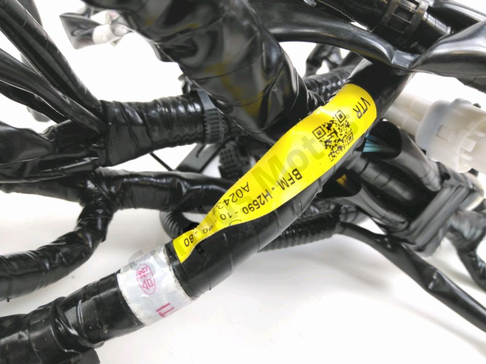 FAISCEAU ELECTRIQUE