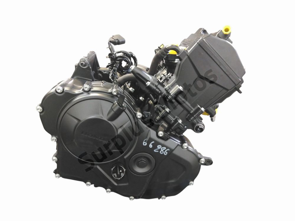 MOTEUR