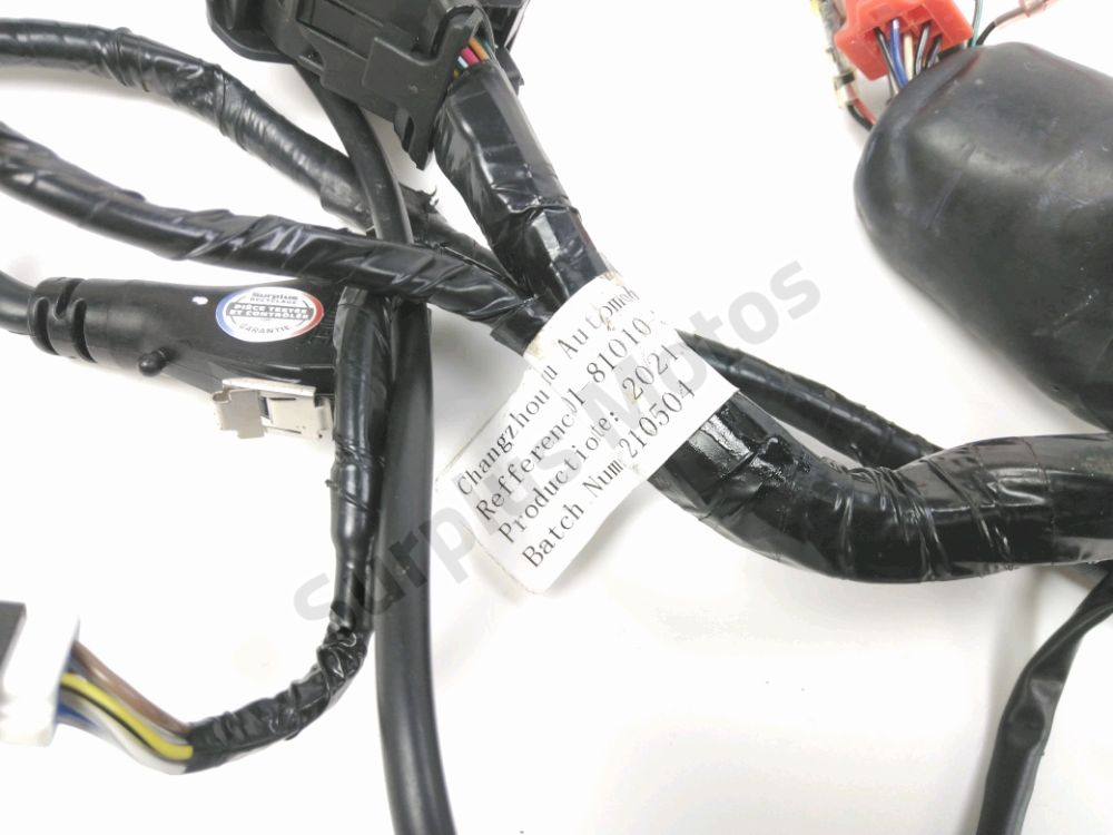 FAISCEAU ELECTRIQUE