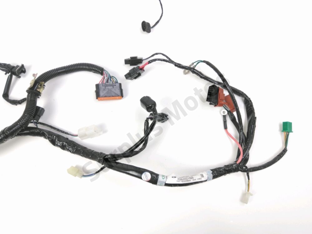 FAISCEAU ELECTRIQUE