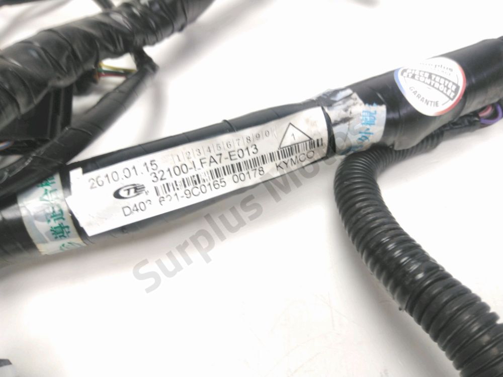 FAISCEAU ELECTRIQUE