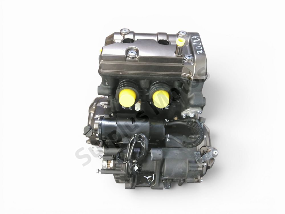 MOTEUR
